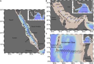 Deoxygenation in Marginal Seas of the Indian Ocean